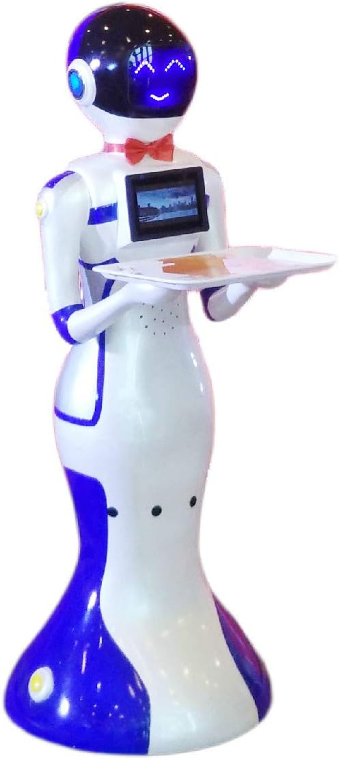 Swet Intelligent Humanoid Waiter Automatic Food Delivery Robot